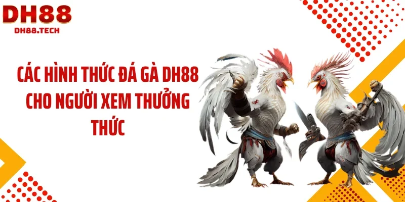 Các hình thức đá gà DH88 cho người xem thưởng thức